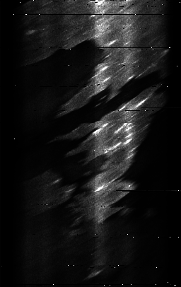 ascat_grayscale_ch4.png